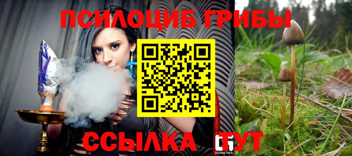 Галлюциногенные грибы MAGIC MUSHROOMS Сертолово